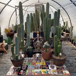 10x20 Greenhouse With shade Cloth