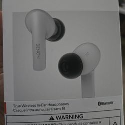 Denon Ear Headphones 