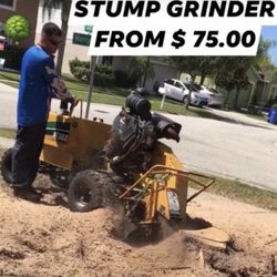 Stump Grinding 