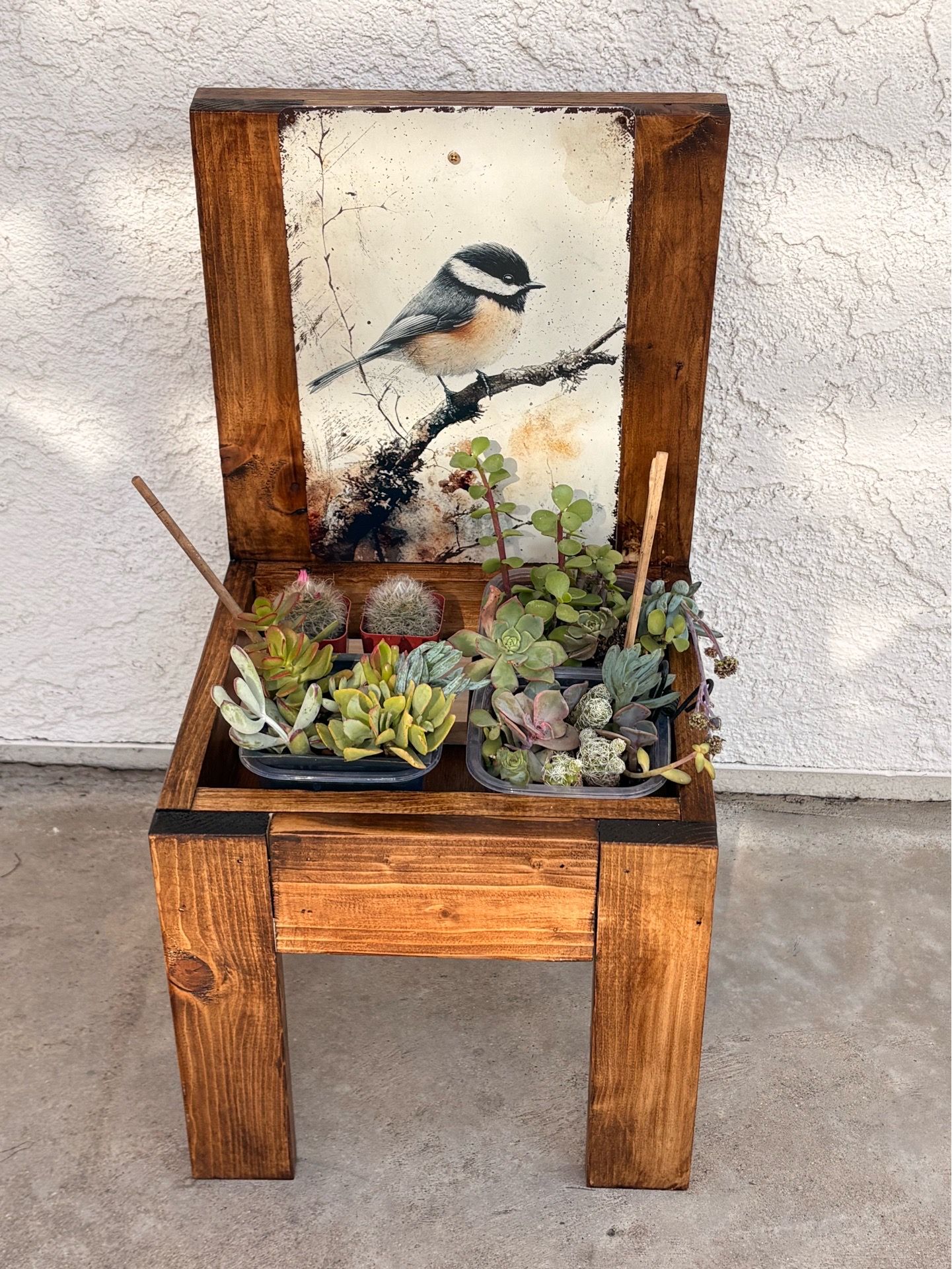 Decorative Planter with Succulents