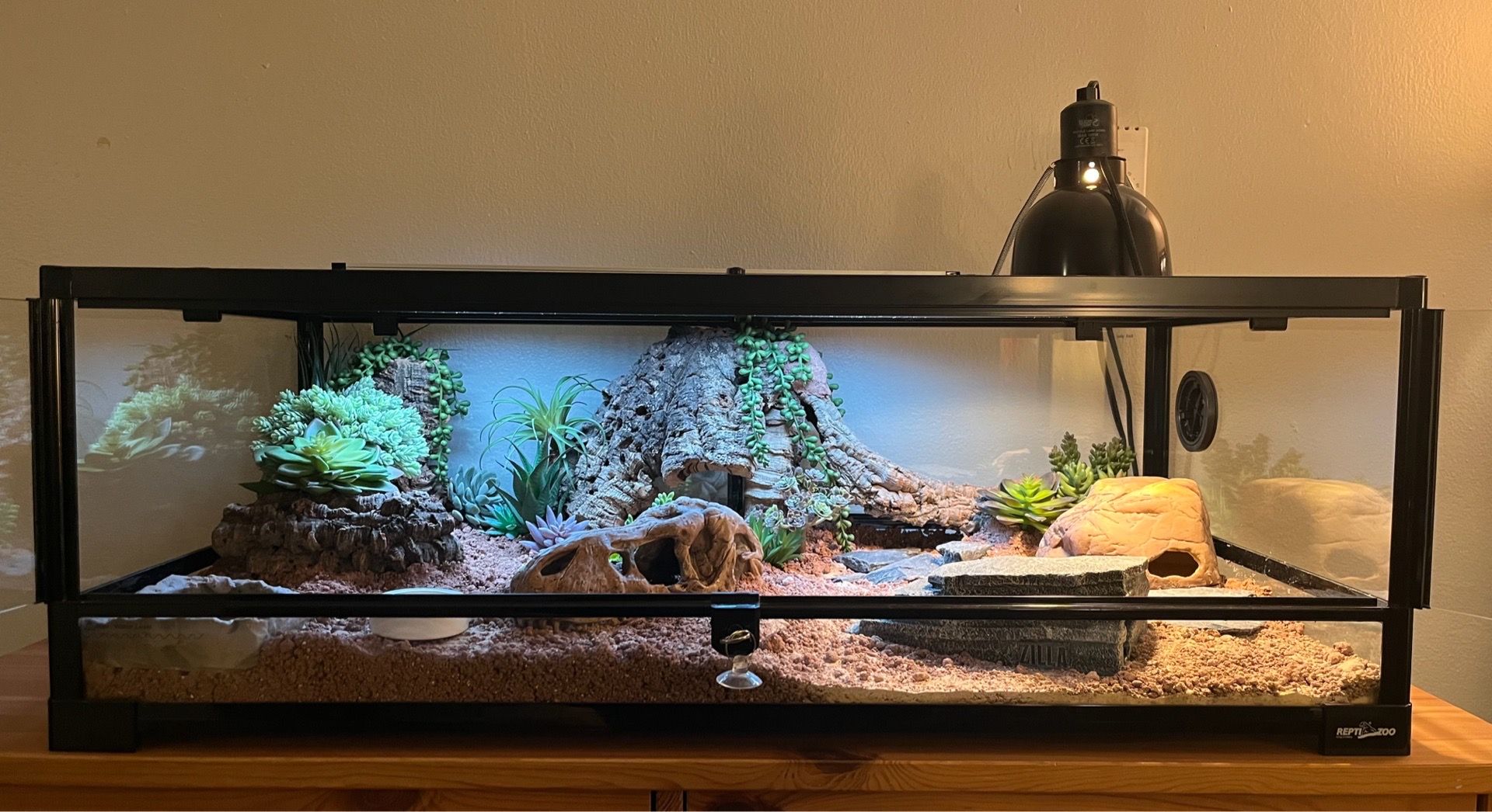 🦎 Custom Leopard Gecko Terrarium Setup – Fully Equipped & Ready to Go 🦎