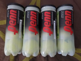 Penn Championship Extra Duty Tennis Balls (1 Can, 3 balls)