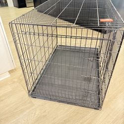 Double Door Folding Wire Dog Crate  