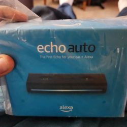 Echo Auto 