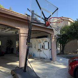 Gorilla Basketball Hoop