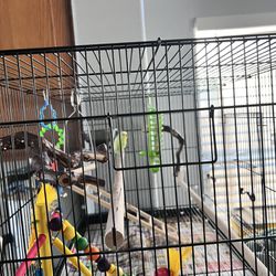 Bird Parakeet Cage