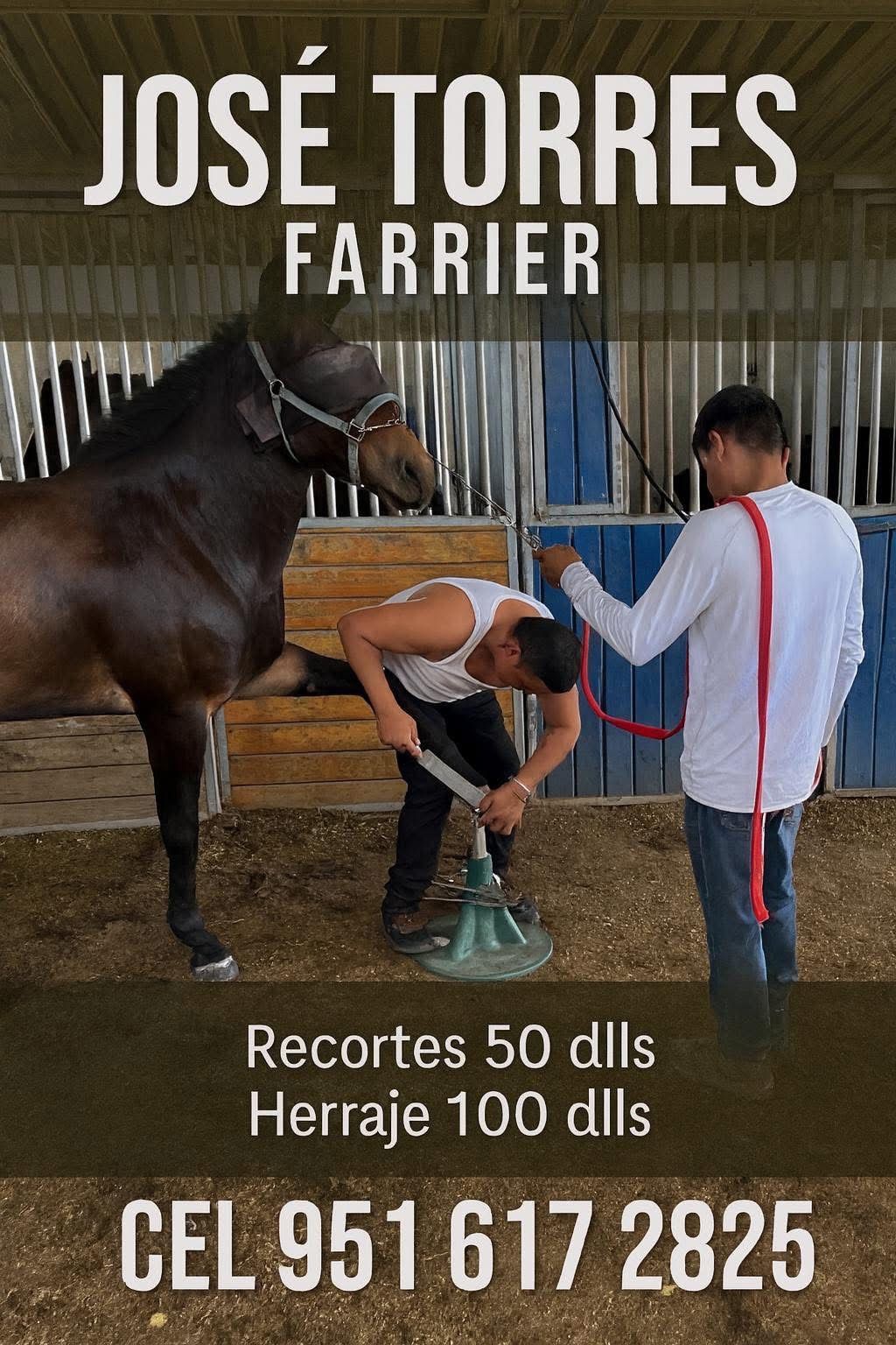Herrero / Farrier