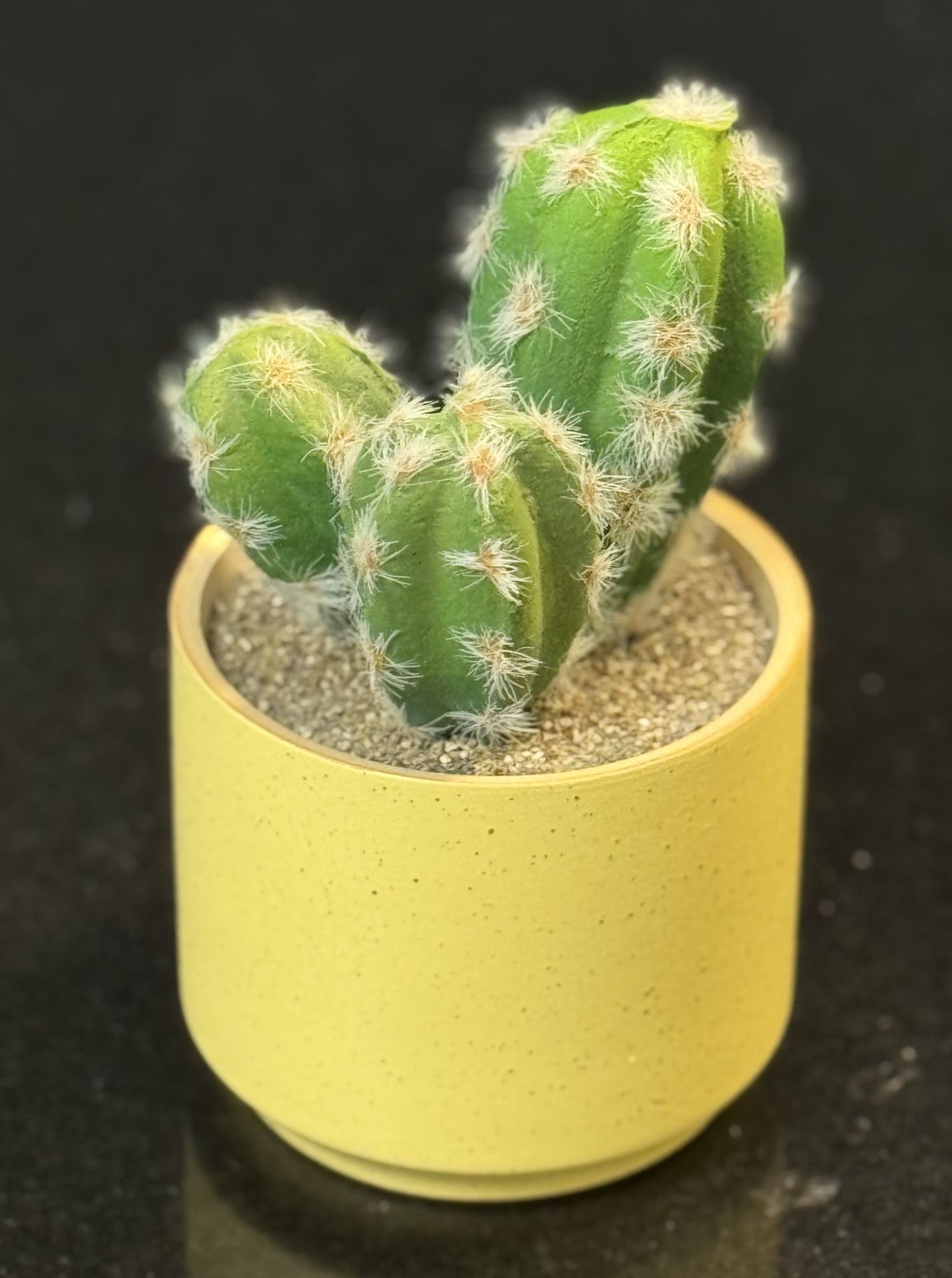 🌵 Mini Soft (Fake) Cactus Plant in Planter Vase (brand new)