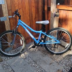 Piranha Bicycle
