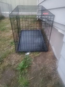 Dog crate
