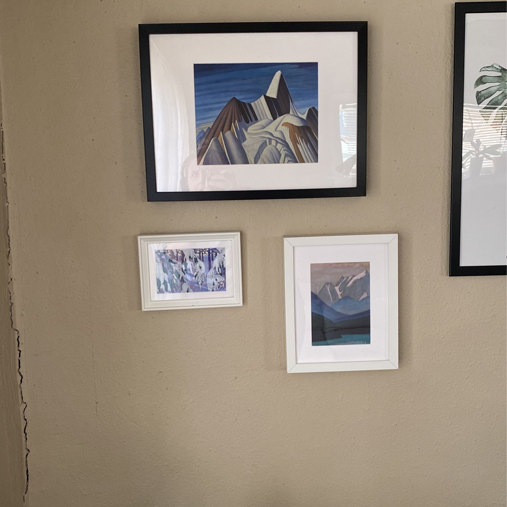 Wall Art Framed Prints Monstera Mountains Nature