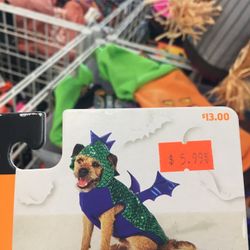 Dog Dragón Costume 