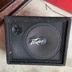 Peavey 112 M Passive Monitor