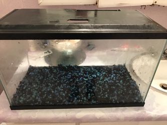10 gallon fish tank