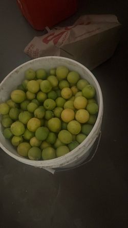 Limones/lemons