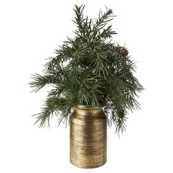 Set Of 2 Plant  