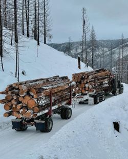 Firewood Logs Delivered