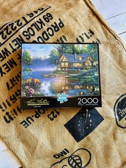 Buffalo 2000 Piece Jigsaw Puzzle Kim Norlien Art CABING FEVER 38.5"x26.5" - NEW