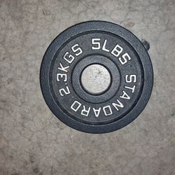 5 Pound Plate