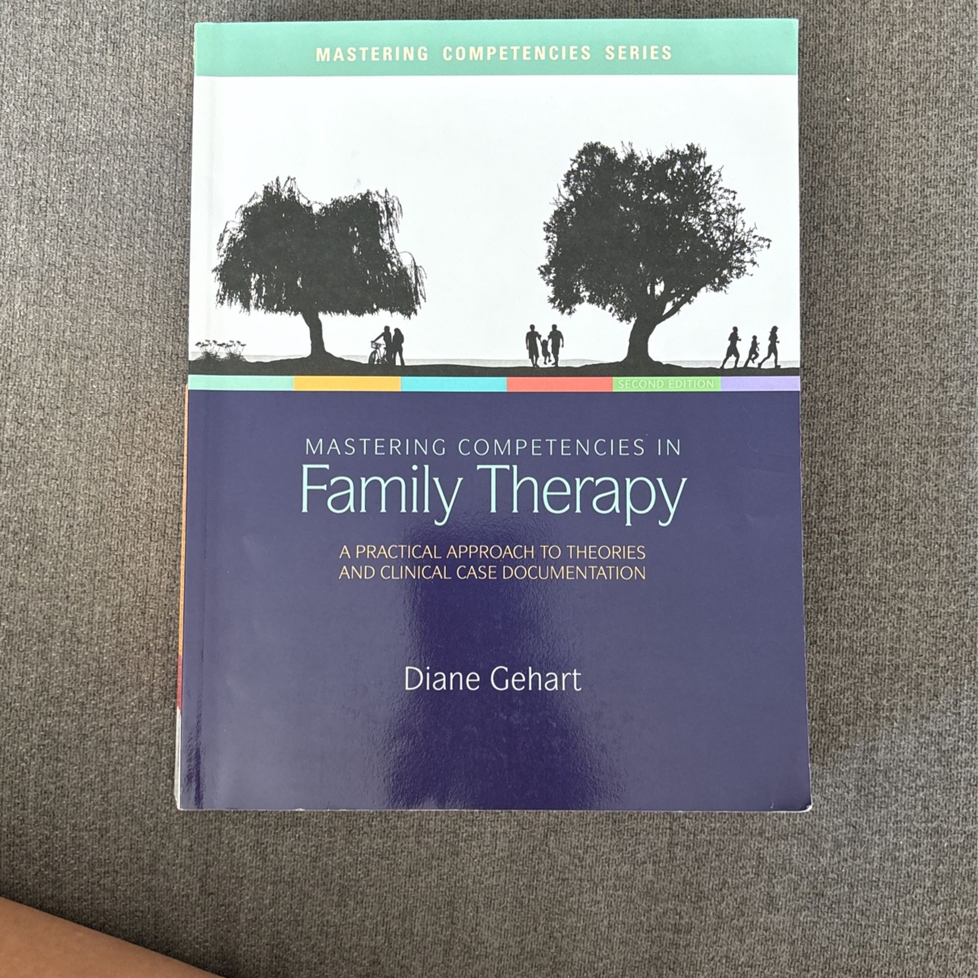 Mastering Competencies In Family Therapy