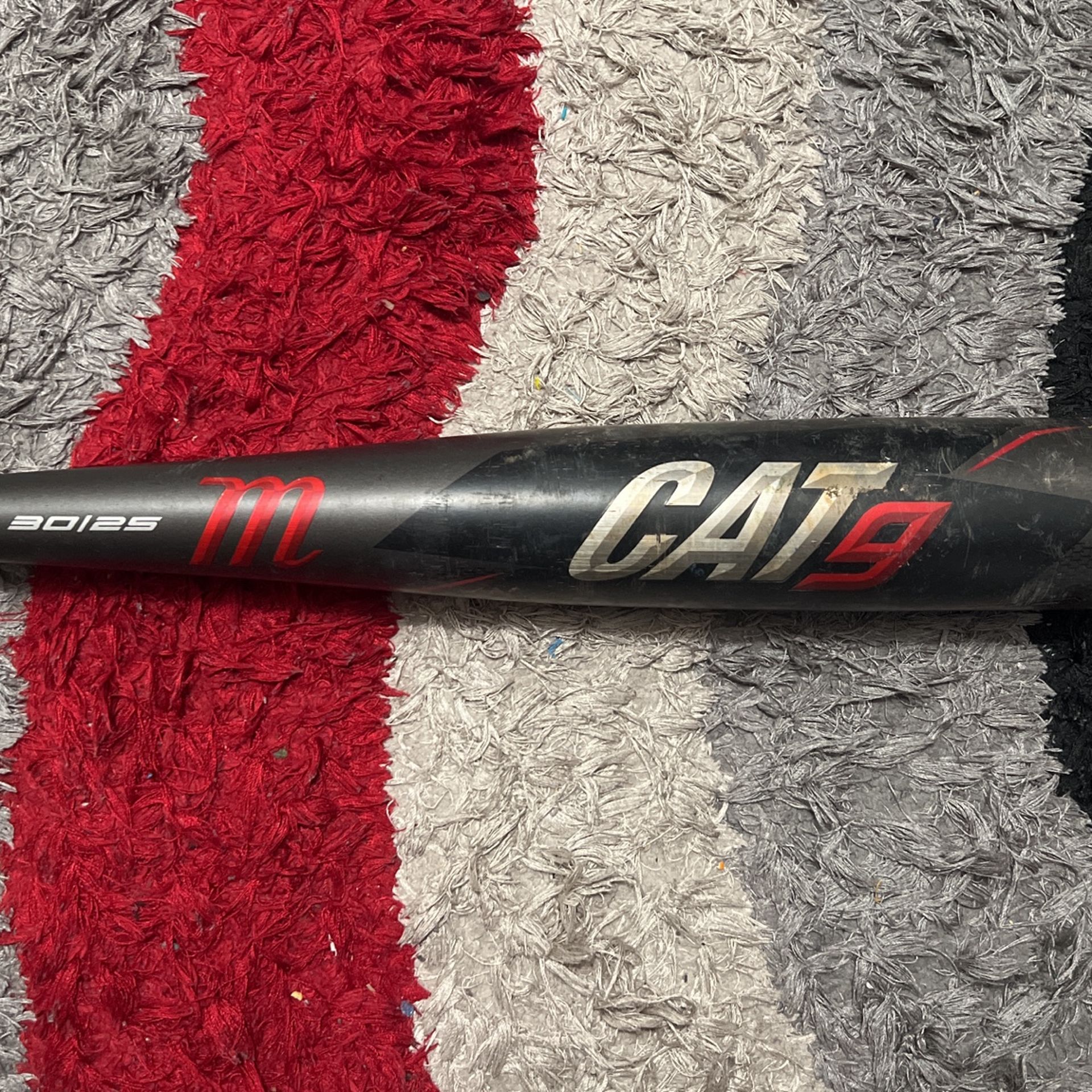 Baseball Bat Cat 9