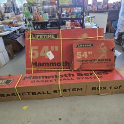 Mammoth Bolt Down Basketball Hoop (54 in. Tempered Glass)
