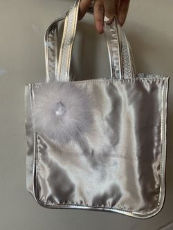 Silver purse