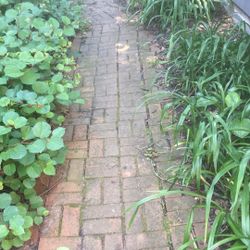 Pavers