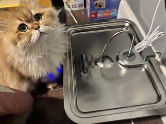 3.17G Pet Water Fountain Brand New