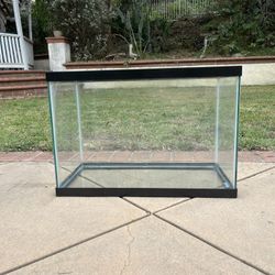 Fish Tank