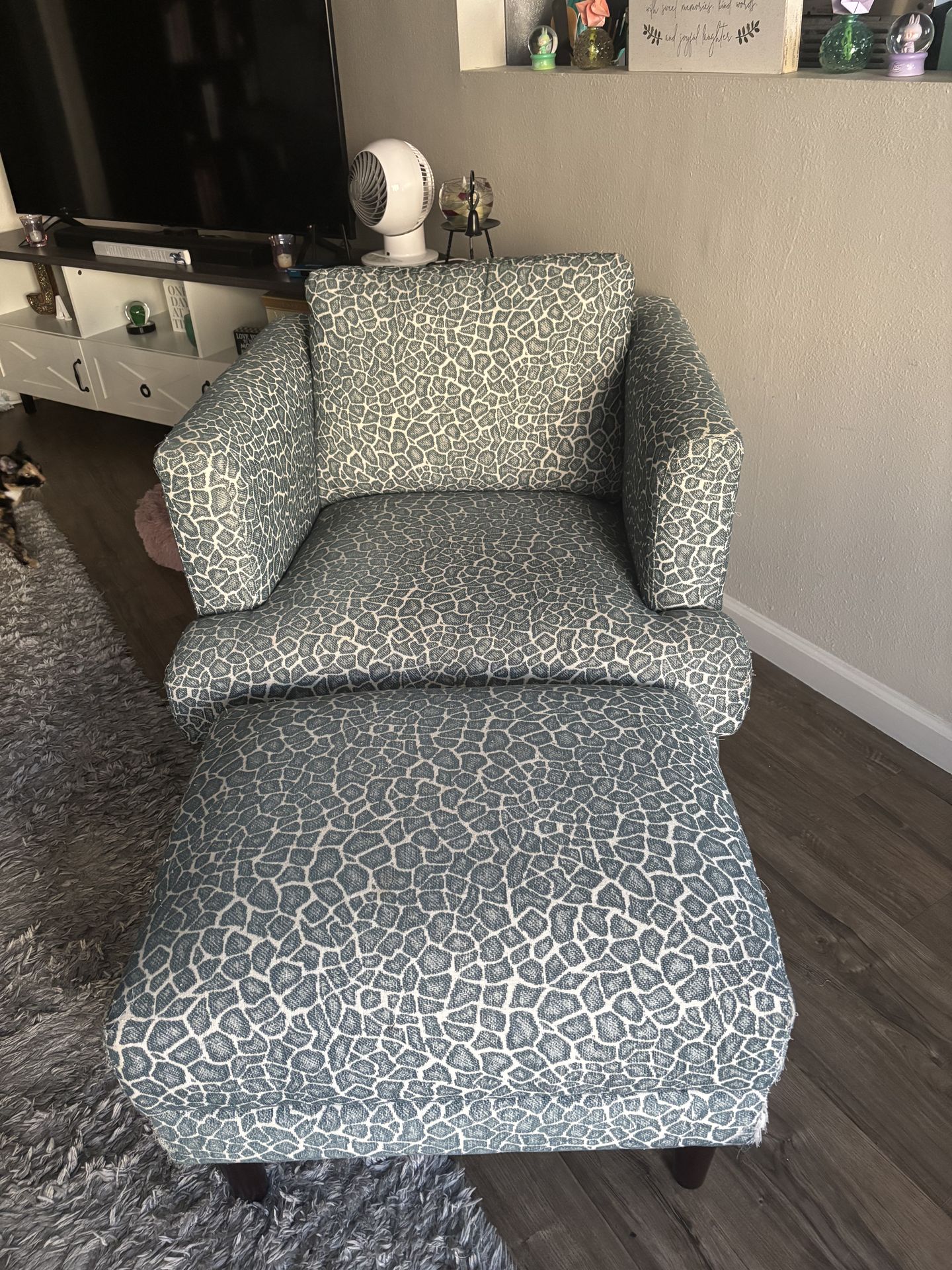 Chair & Ottoman Set - $50