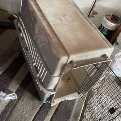 Dog Kennel 
