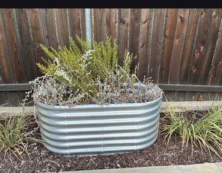 Free soil and free plants