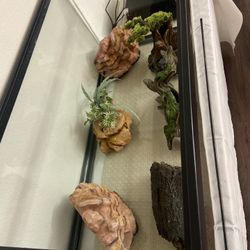 Fish Tank/terrarium 