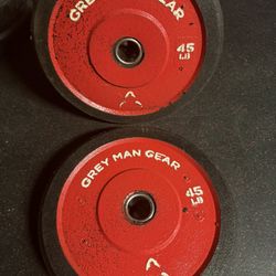 45 Lb Bumper Plates