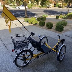 Recumbent Trike