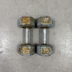 25lb Dumbbells