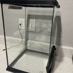 New Condition
