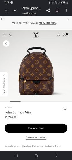LV Monogram Palm Springs Backpack