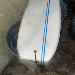 Adult  Size Boogie  Bourd  Has A Leash 