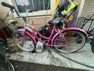 Female Beach Cruiser