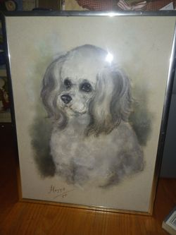 Beautiful framed signed art of dog