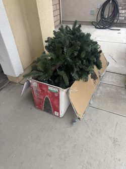 Free Christmas Tree