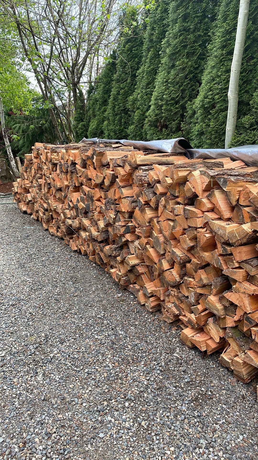 Firewood