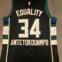 Giannis 2024 equality jersey