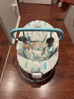 Bright Stars Baby Bouncer