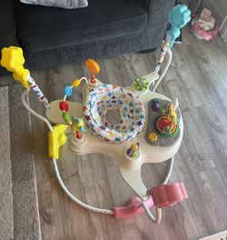 New Baby Bouncer With Box