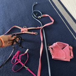 Paseadores O Pecheras XS Para Gato O perro 