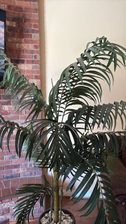 Palm Tree Decor