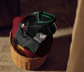México authentic